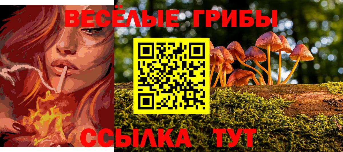Якутск  Псилоцибиновые грибы ЛСД  Вход с VPN 